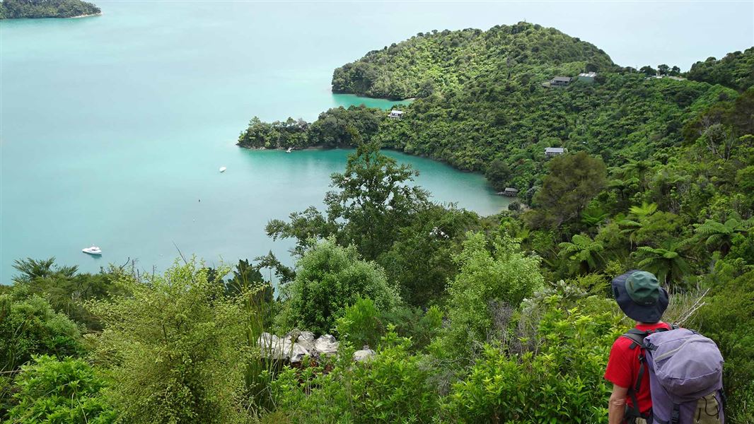 Queen Charlotte Track. Credit - Malcolm Anderson | DOC